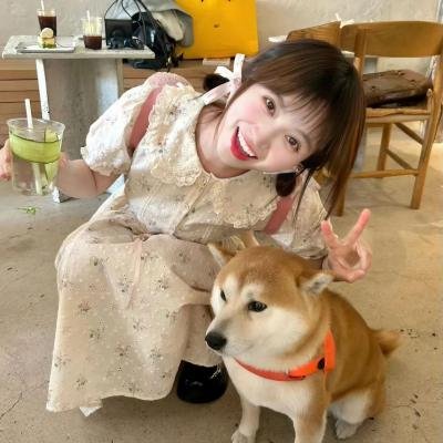 最后的美丽