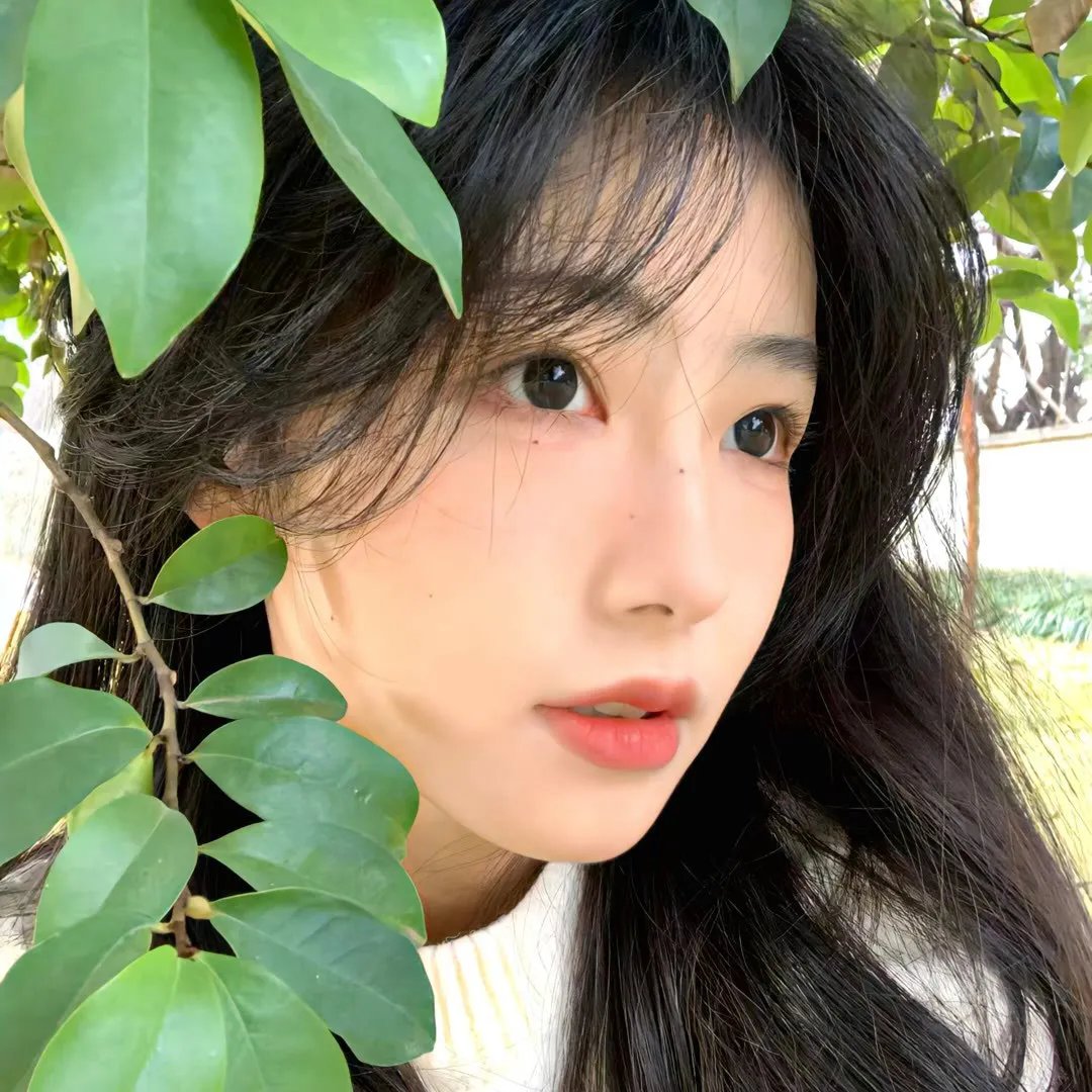 五心合唱团 在线观看
